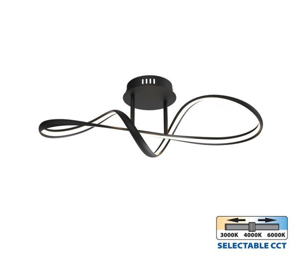 VIV004863-ETERNITY-MAIN-BK